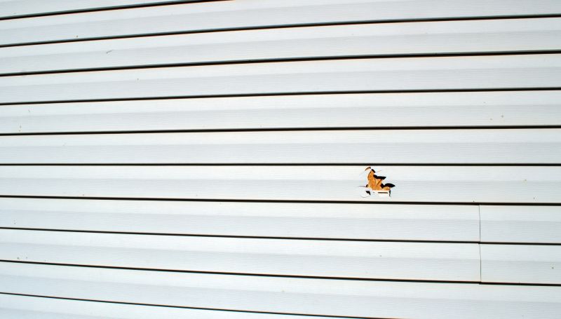 Vinyl Siding Repair - Process Image 1