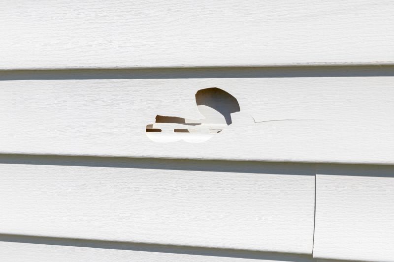 Vinyl Siding Repair - Image 1